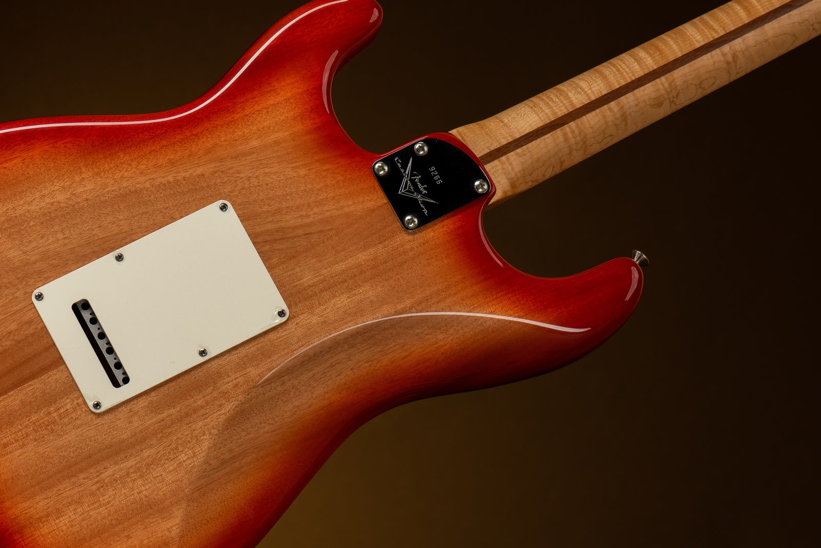 Fender Strat back