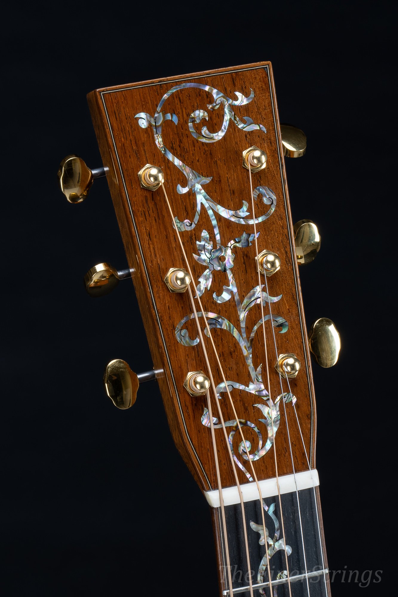 Martin GP-42 headstock macro