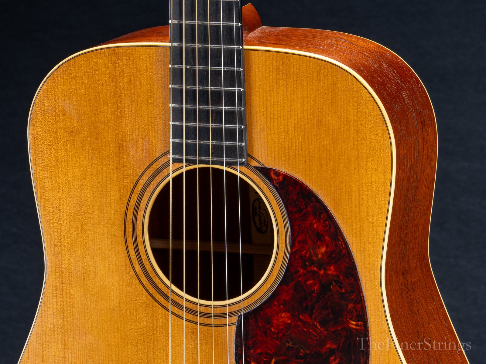 Montuoro Brutus 212