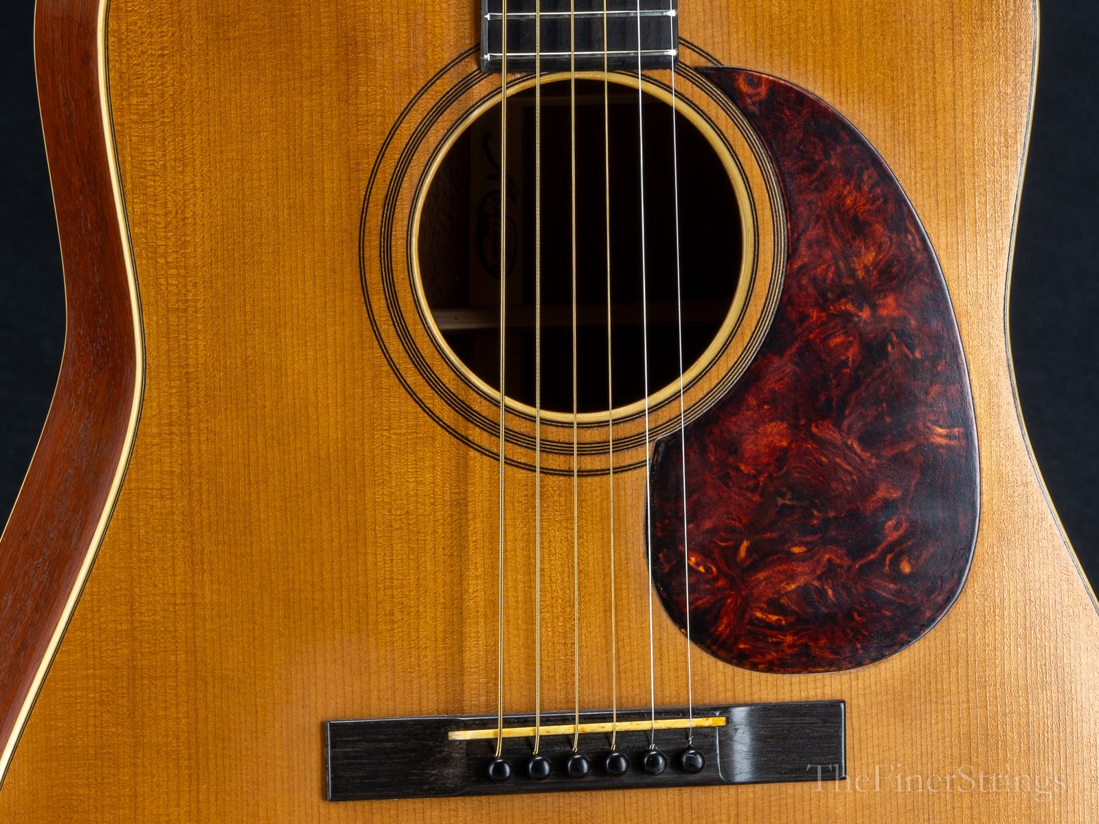 Montuoro Brutus 212