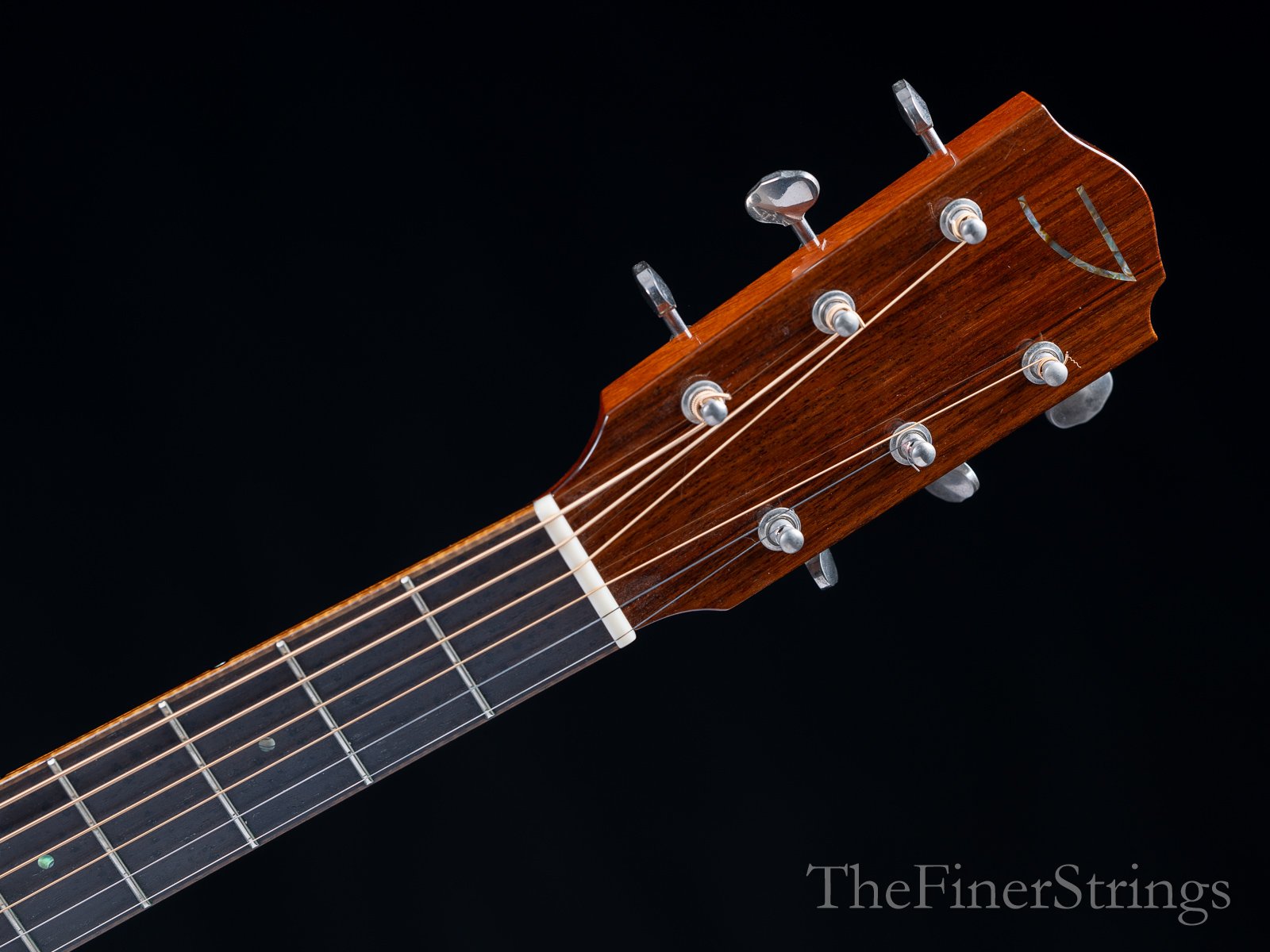 Ted Thompson T1 Deluxe headstock face